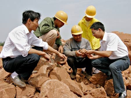 В Китае откопали яйца динозавров
