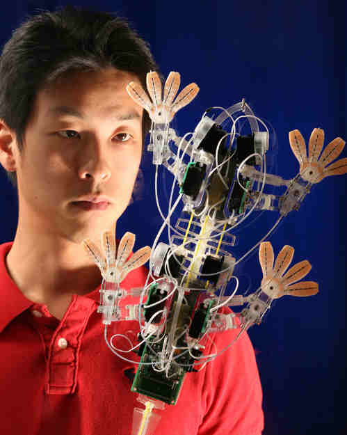 Spinybot, iSprawl, Stickybot