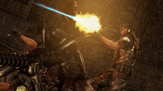 Aliens vs Predator