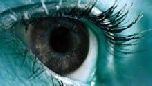 Глаза передают мозгу 20 мегабит в секунду