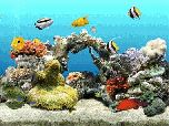 Dream Aquarium 1.0700 - снова рыбки на заставке :)