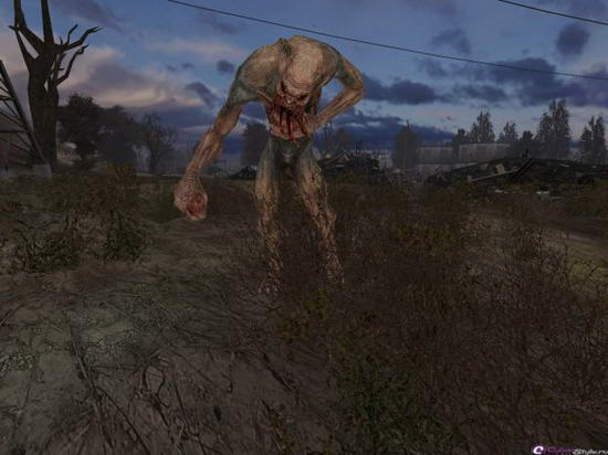 �S.T.A.L.K.E.R.: ������ ����. ������������ �����������