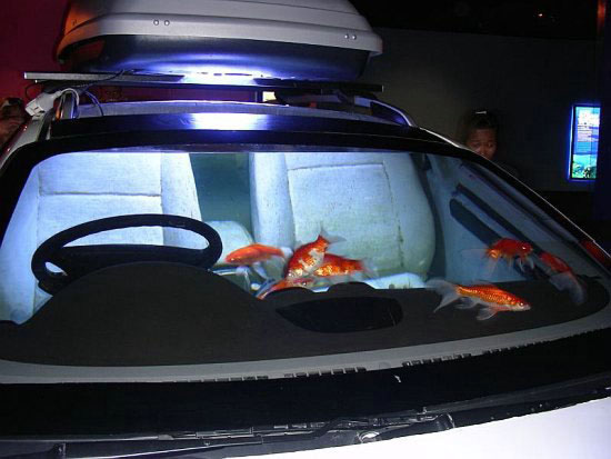 Автомобиль-аквариум