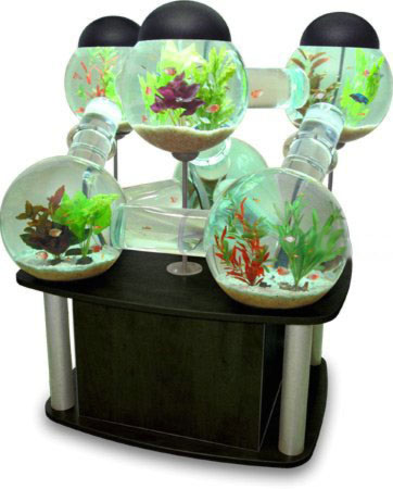 Необычный модульный аквариум