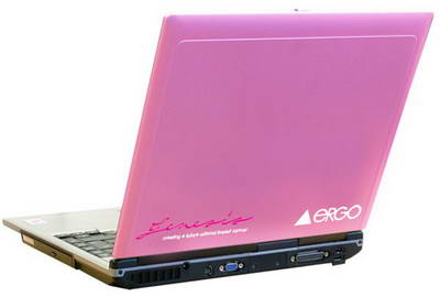 Розовый ноутбук для дам