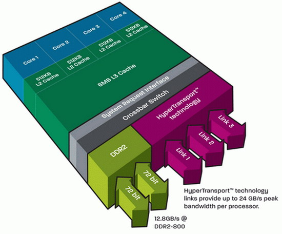 AMD, Shanghai