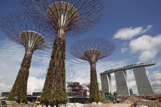 Гигантские искусственные деревья "садят" в Сингапуре