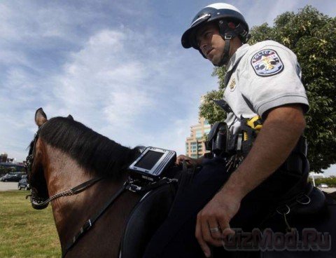Полицейских лошадей оснастили планшетами
