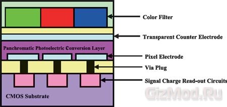 Fujifilm патентует органический датчик изображения