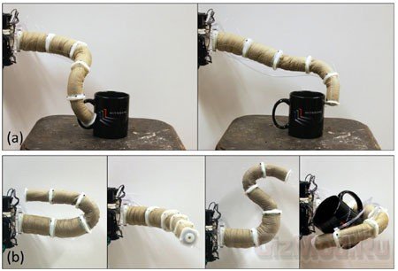 Робо-хобот с начинкой из кофе