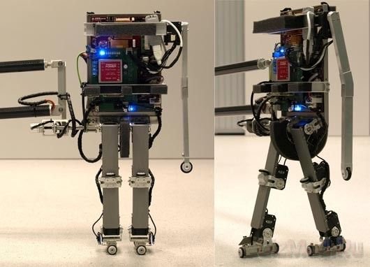 Робот самостоятельно учиться ходить