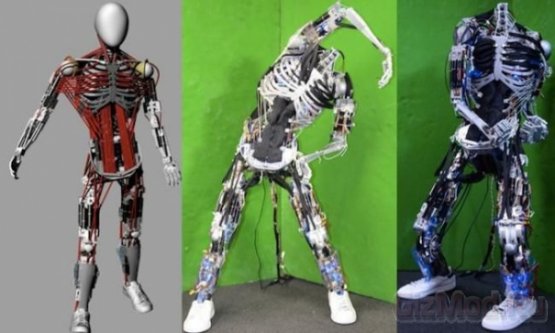 Японский робот-гуманоид с рекордным колическтвом мышц