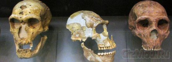 Неандертальский человек, факты и вымысел