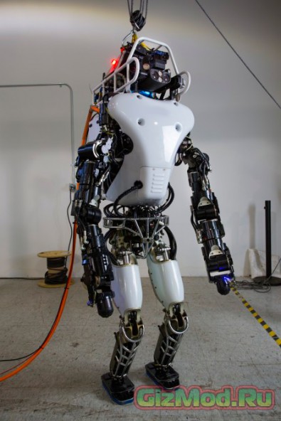 Робот Atlas учится ходить