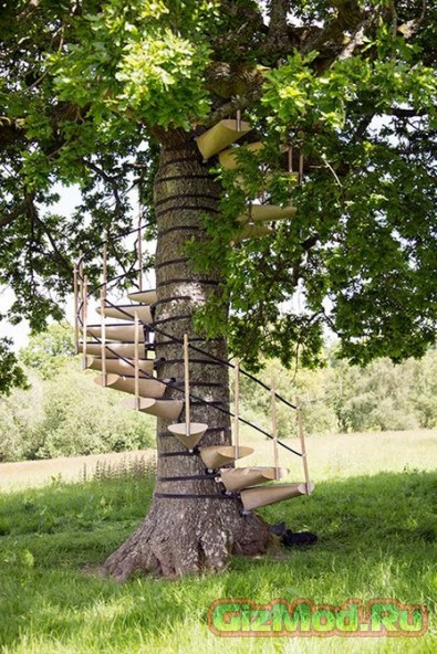 Лестница для дерева