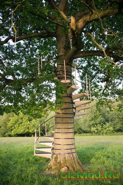 Лестница для дерева