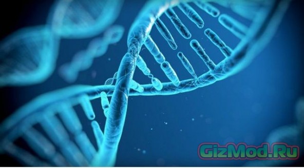 ДНК-хранилище