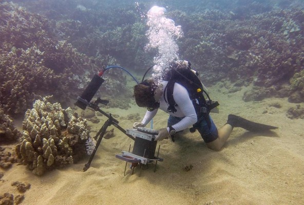 У ученых появился подводный микроскоп