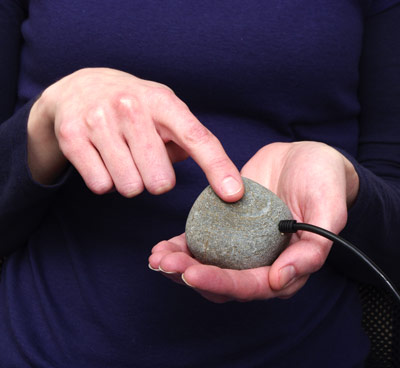 USB Pet Rock