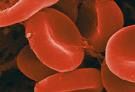 Ученые открыли новый тип гемоглобина
