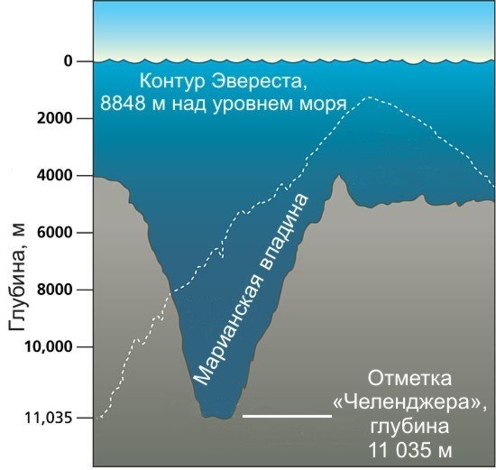 Марианская впадина рисунок