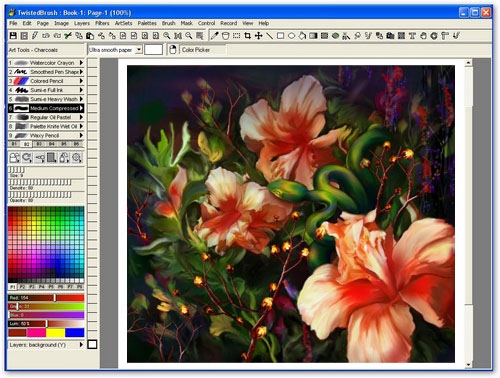 TwistedBrush Paint Studio 5.05 instal the new version for ipod