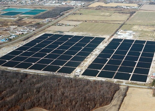 Запущена рекордная солнечная электростанция