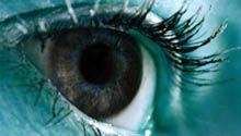Глаза передают мозгу 20 мегабит в секунду