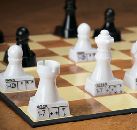 Шахматы для новичков с самоучителем на фигурах