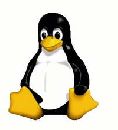 Linux-сервер инструкции по инсталяции и настройке