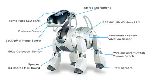 Робот собака для похудения