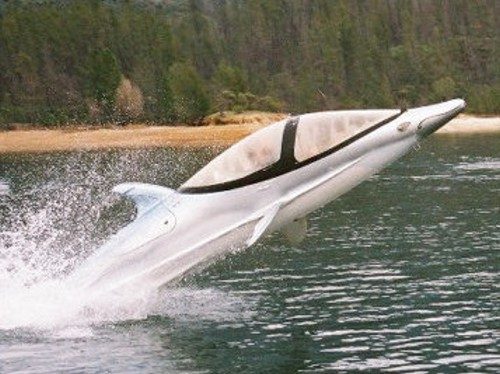 Лодка-дельфин для экстремалов (+видео)