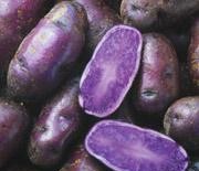 Фиолетовая картошка из космоса