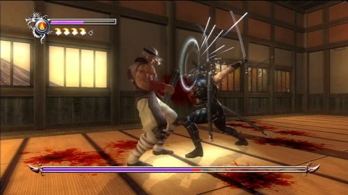 Скриншоты Ninja Gaiden Sigma