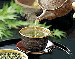 Зеленый чай эффективней презерватива