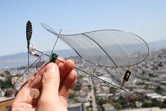Самый маленький самолет на радиоуправлении в мире