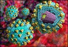 Пептидная молекула препятствует размножению ВИЧ