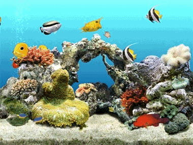 Dream Aquarium 1.0700 - снова рыбки на заставке :)