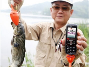 Корейцы ловят рыбу с помощью мобильников