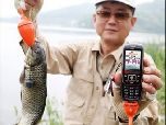 Корейцы ловят рыбу с помощью мобильников