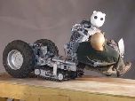 Робот-спасатель BEAR
