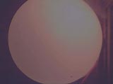 Удивительное изобретение для воспитания кошек