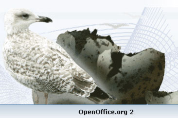 Ru.OpenOffice.org 2.3.1 Pro
