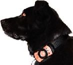 PetCell - мобильник для собак