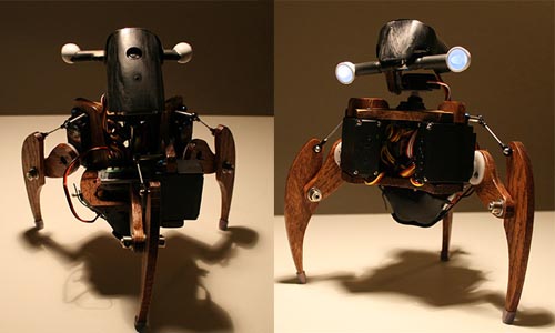 Crafbu, Swashbot