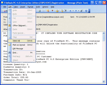 FileBack PC v.4.1 - резервное копирование данных