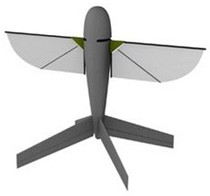 Систему Land Warrior укомплектуют нано-самолетом