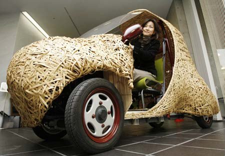 Японцы создали бамбуковый автомобиль