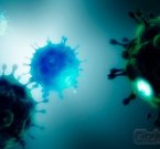 Вирус против вируса