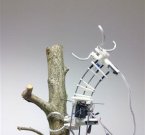 Китайский робот-гусеница листья не кушает
